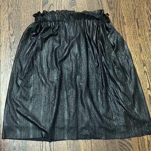 Chic Black A-Line Women's Skirt